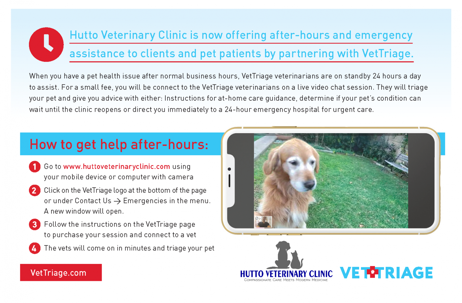 all animals veterinary hospital loretto tn Royal Rouse